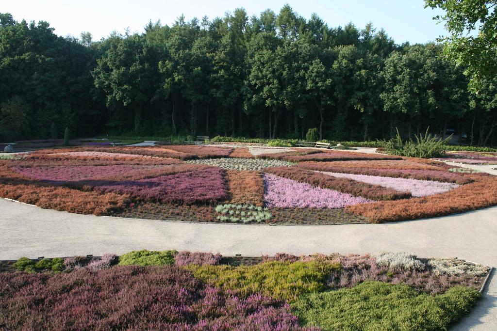 Ferienwohnung Lueneburger Heide Schneverdingen Esterno foto
